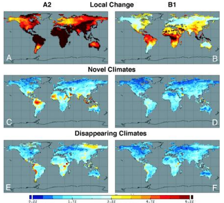 <p><strong><u>Fundamental Response of Populations to Climate Change</u></strong></p><ul><li><p>A population of a species in a given location, experiencing climate change, can respond in one or more of the following ways (<strong><u>AMD</u></strong>)</p><p></p></li></ul><ol><li><p>Adapt</p></li><li><p>Move</p></li><li><p>DIE</p></li></ol><p></p><p><span style="color: yellow"><strong><u>Allee Effects</u></strong></span></p><ul><li><p>Factors that cause population <strong>DECLINE </strong>when a given population is <strong>SMALL </strong>in size</p></li></ul><p>****************************************************************************</p><p><strong><u>Insect Response Curves and Tropical Density</u> (</strong><span style="color: rgb(1, 213, 255)"><strong>GRAPH 1</strong></span><strong>)</strong></p><ul><li><p>Distribution of predicted impact in ectotherms by LATITUDE.</p></li><li><p><span style="color: red">High impacts, strongest decline</span> in performance occur in the <span style="color: red"><strong>TROPICS</strong></span>, where ectotherms include insects, which make up most species on Earth.</p></li><li><p>Performance actually most often INCREASES in <span style="color: green"><strong>temperate areas</strong></span>, as <strong><u>warming removes cold-boundary thermal limits or moves species </u></strong><span style="color: red"><strong><u>UP their thermal performance curve</u></strong></span></p></li><li><p>Impact in 2100 for insects (by latitude) estimated by thermal response curves fit to models of population growth.</p><ul><li><p>DECREASE in pop NEAR <span style="color: red">EQUATOR (too warm)</span></p></li><li><p>INCREASING TOWARDS <span style="color: blue">POLES</span> AS MOVE UP THERMAL PERFORMANCE CURVE <span style="color: blue">(get closer to Topt)</span></p><p></p></li></ul></li></ul><p>****************************************************************************</p><p><span style="color: yellow"><strong><u>Novel Climates</u></strong></span></p><ul><li><p>New climates that emerge that do not have analogs in current climate (middle row).</p></li></ul><p></p><p><span style="color: rgb(169, 160, 160)"><strong><u>Disappearing Climates</u></strong></span></p><ul><li><p>Are current climates that are not represented in future climate (furthest towards poles)</p></li></ul><p></p><p><strong><u>Novel and Disappearing Climates </u>(</strong><span style="color: rgb(11, 209, 242)"><strong>GRAPH 2</strong></span><strong>)</strong></p><ul><li><p>Novel and disappearing climates are shown under <span style="color: red">HIGH (left)</span> and <span style="color: blue">LOW (right)</span> climate change scenarios.</p></li><li><p>Local multivariate change is shown for comparison (top row).</p></li></ul><ul><li><p><span style="color: red">Red is HIGH local change,</span> most novel and greatest multivariate distance from current in disappearing climates.</p><p></p><p><span style="color: yellow"><strong><u>Towards EQUATOR you are getting higher rate of NOVEL climates</u></strong></span></p><ul><li><p>It is already very hot there, so the hotter things get the more you get NEW climates never been seen before type shi</p><p></p></li></ul><p><span style="color: rgb(181, 160, 160)"><strong><u>Towards POLES you are getting higher rate of DISAPPEARING climates</u></strong></span></p><ul><li><p>The <span style="color: blue"><strong>polar regions</strong></span><span style="color: red"><strong> are warming much faster than the rest of the planet</strong> (<em>polar amplification</em>), causing <strong>previous cold climates to VANISH</strong>.</span></p></li><li><p>As <strong>glaciers MELT, sea ice disappears, and ecosystems shift</strong>, many <strong>cold-adapted climates and habitats are lost</strong> because they have <strong>nowhere further to move</strong>.</p></li><li><p>Coldest far up by the poles are disappearing</p></li><li><p>Cold-ish are becoming warm in the way historically climates closer to the equator usually are.</p><ul><li><p>NOT novel because there are climates closer to the equator which are around the same</p></li></ul></li></ul></li></ul><p></p>