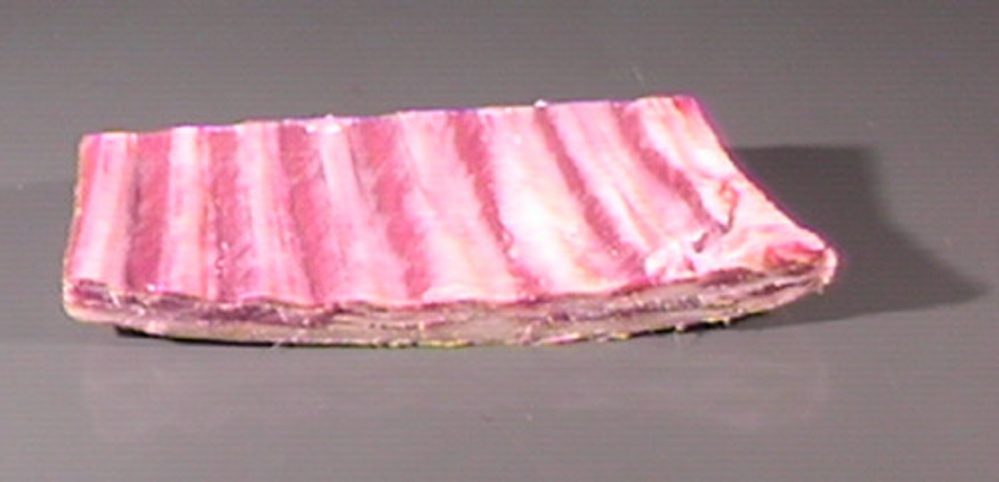 <p>(n) sườn non</p>