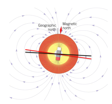 <p><span>The Earth’s magnetic field protects the Earth’s surface from harmful ionized particles from space (protects us from radiation)</span></p><p><span>Magnetic equator shown as red line (</span>the line around Earth where the planet’s magnetic field is horizontal and the magnetic inclination (dip) is zero. It is defined by the shape of Earth’s magnetic field and slowly shifts over time as the field changes.)</p><p style="text-align: left;"><span>Geographic equator is normal to earth’s rotation axis and is shown in black (</span>The geographic equator is the imaginary line around Earth halfway between the North and South Geographic Poles. Defined by the direction of Earth’s rotation)</p><p style="text-align: left;"><span>Note magnetic lines converge at poles</span></p><p></p><p>Magnetism flips and we see that in rock measurements&nbsp;</p>
