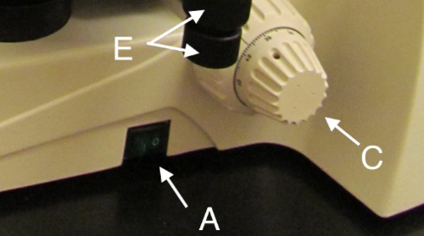 <p>A</p>