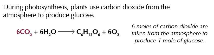 <p>equations to support the theory ethanol is a carbon neutral biofuel</p>