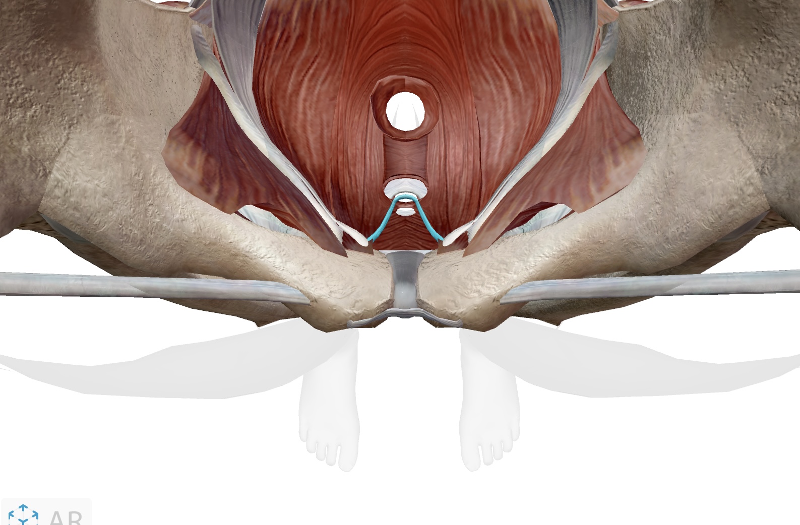 knowt flashcard image