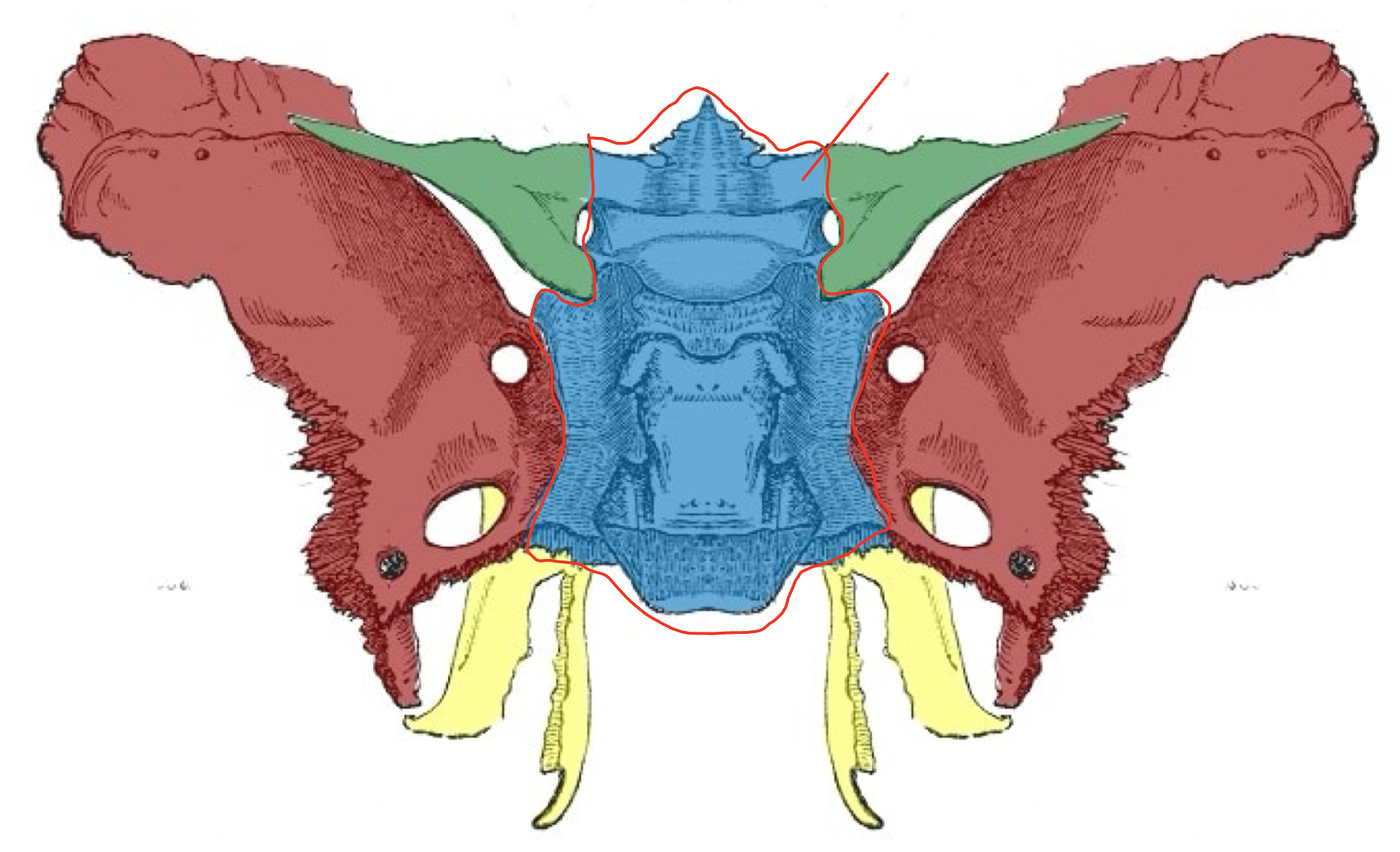 <p></p>