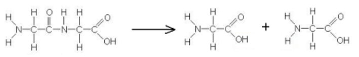<p>this reaction is an example of …</p>