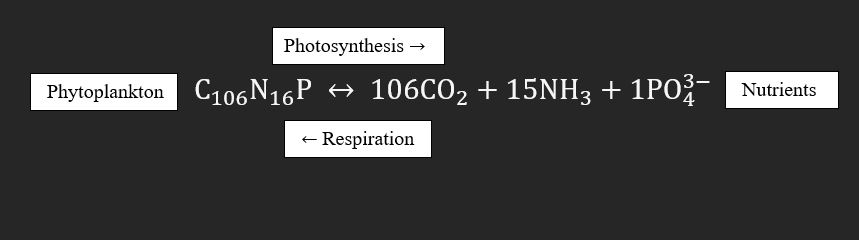 <p>C:N:P = 106:16:1</p>