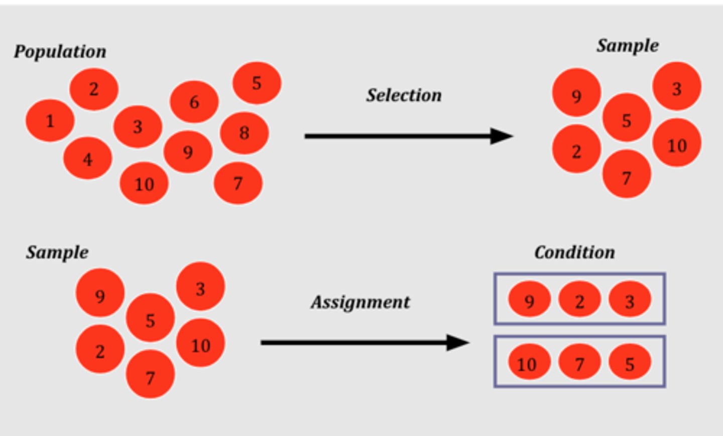 <p>Assigning participants to groups randomly</p>