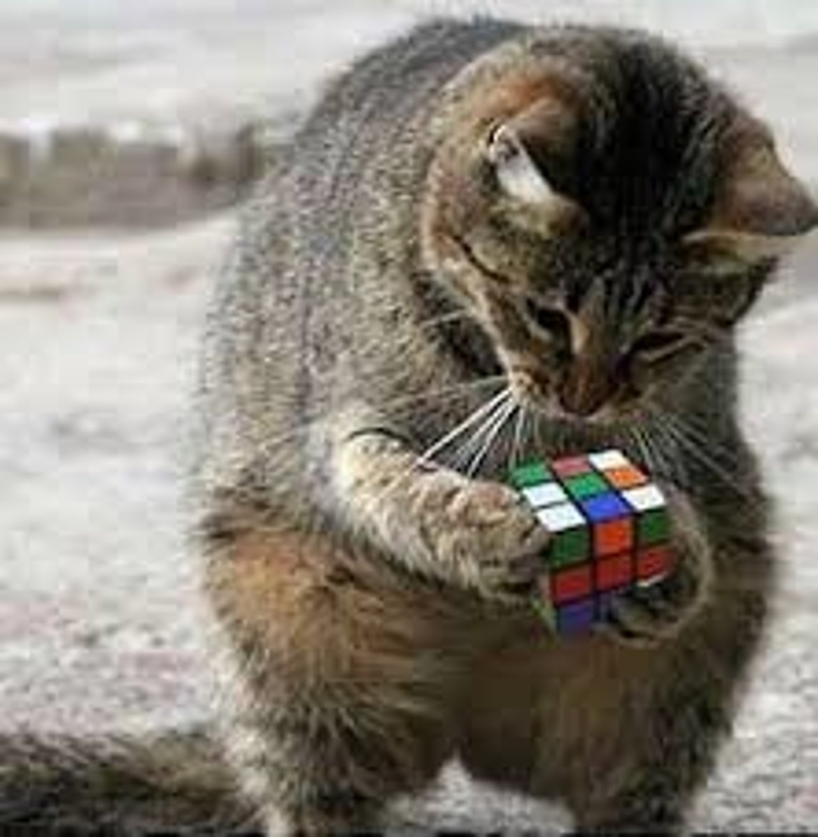 <p>difficult; hard</p>