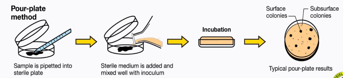 <p>pour-plate technique</p>
