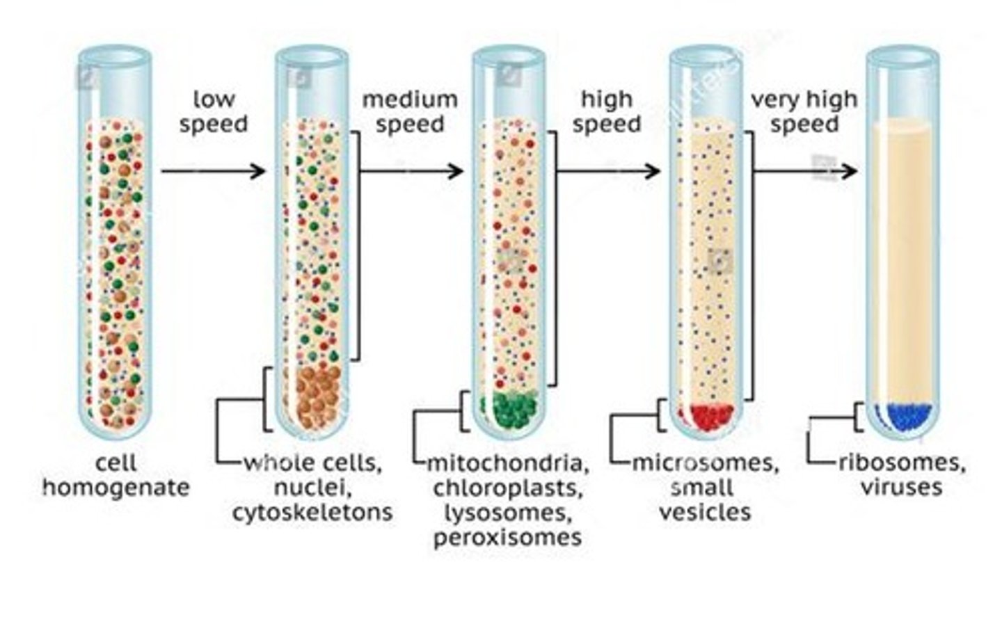 <p>Separates components of a liquid sample by spinning.</p>