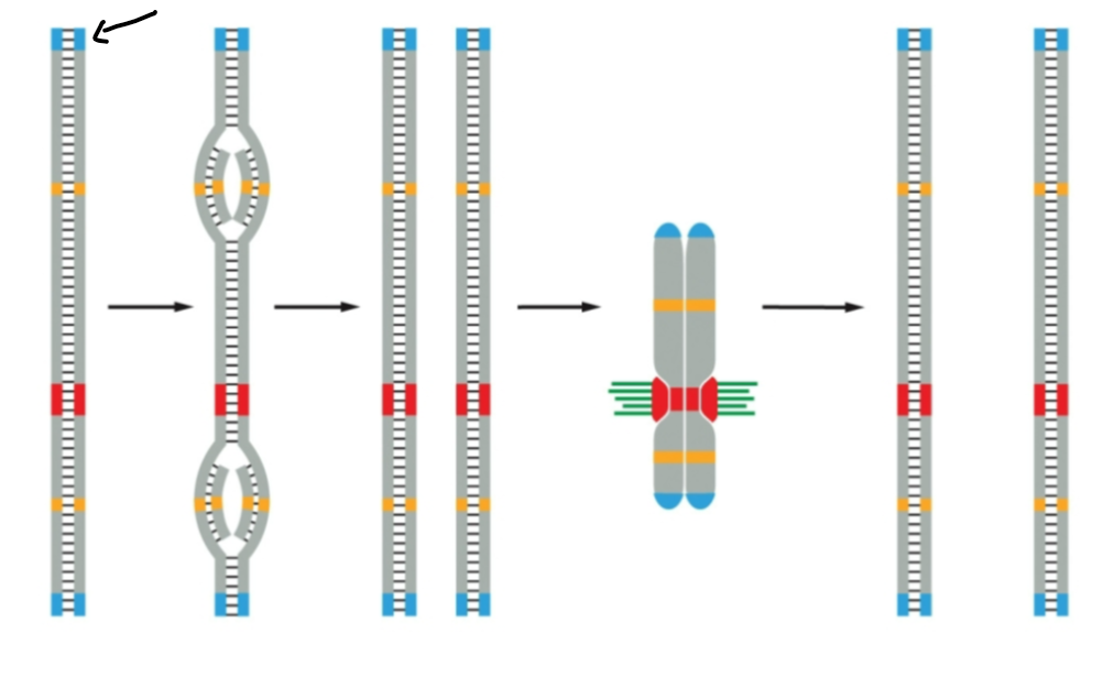 <p><span><span>What is the arrow indicating?</span></span></p>