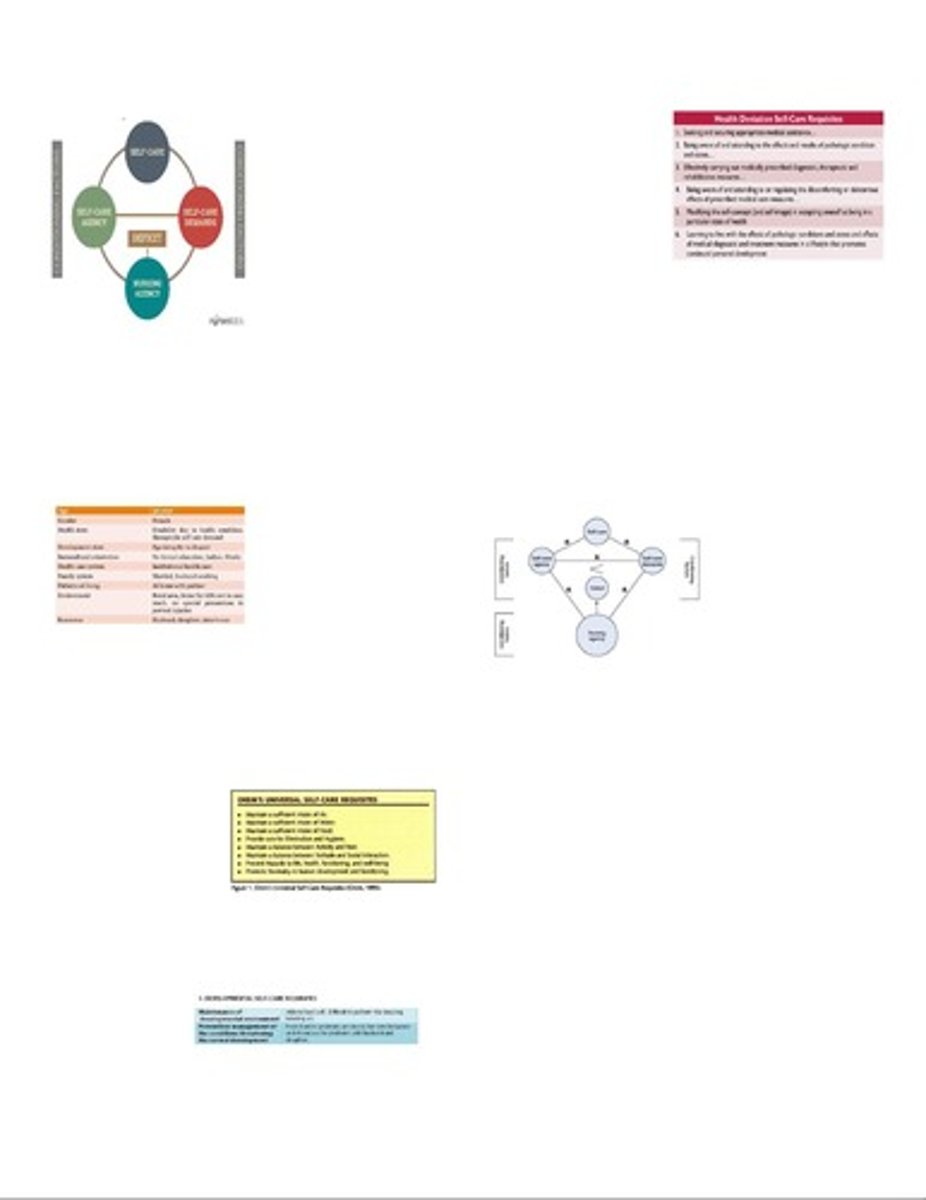 <p>Natural light impacts patient recovery positively.</p>