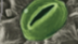 <p>What is this </p>