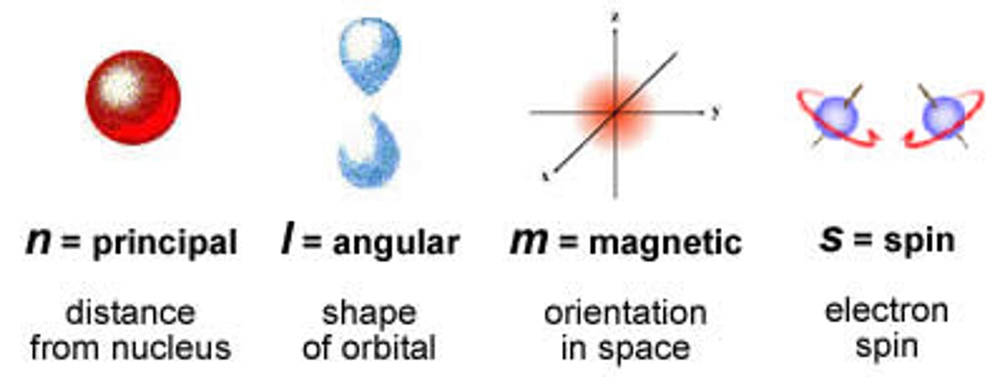 <p>Principal quantum no (n): 1, 2, 3, 4..</p><p>Angular momentum quantum no (l): n-1</p><p>Magnetic quantum no (m1): -l...+l</p><p>Spin quantum no (ms): +1/2, -1/2</p>
