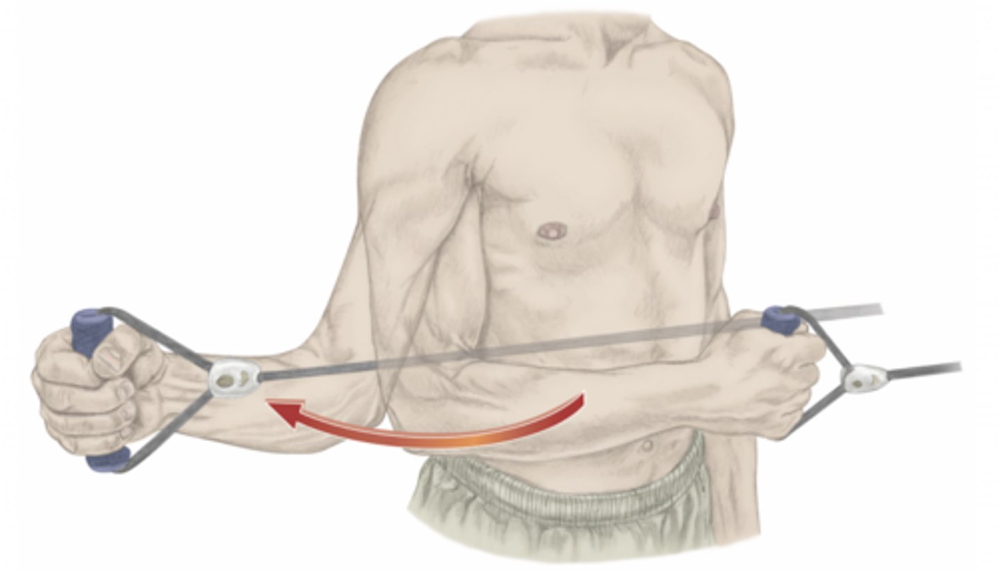 <p>please identify the movement and its location</p>