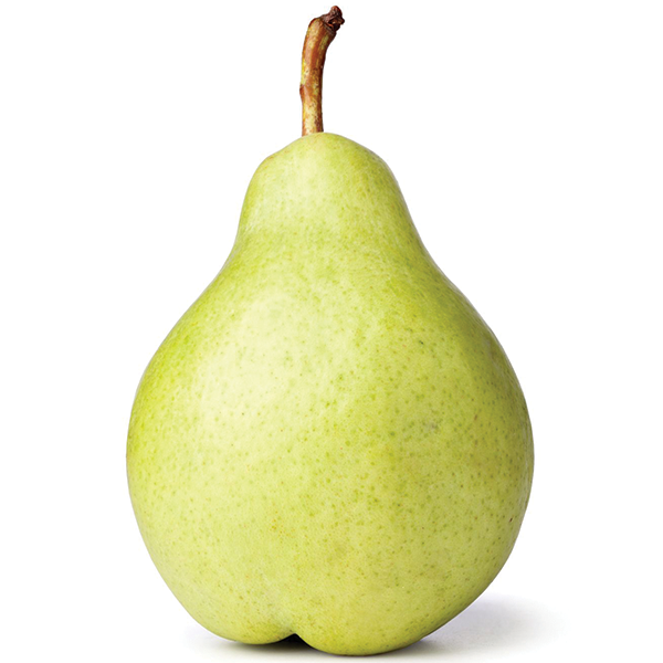 <p></p>
