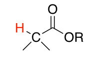 <p>Ester </p>