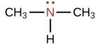 <p>What is this structure called?</p>