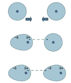<p>London dispersion force</p>