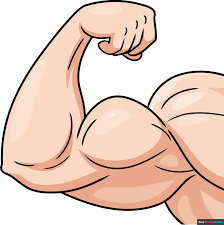 <p>Plays a role in muscle contraction and movement</p>