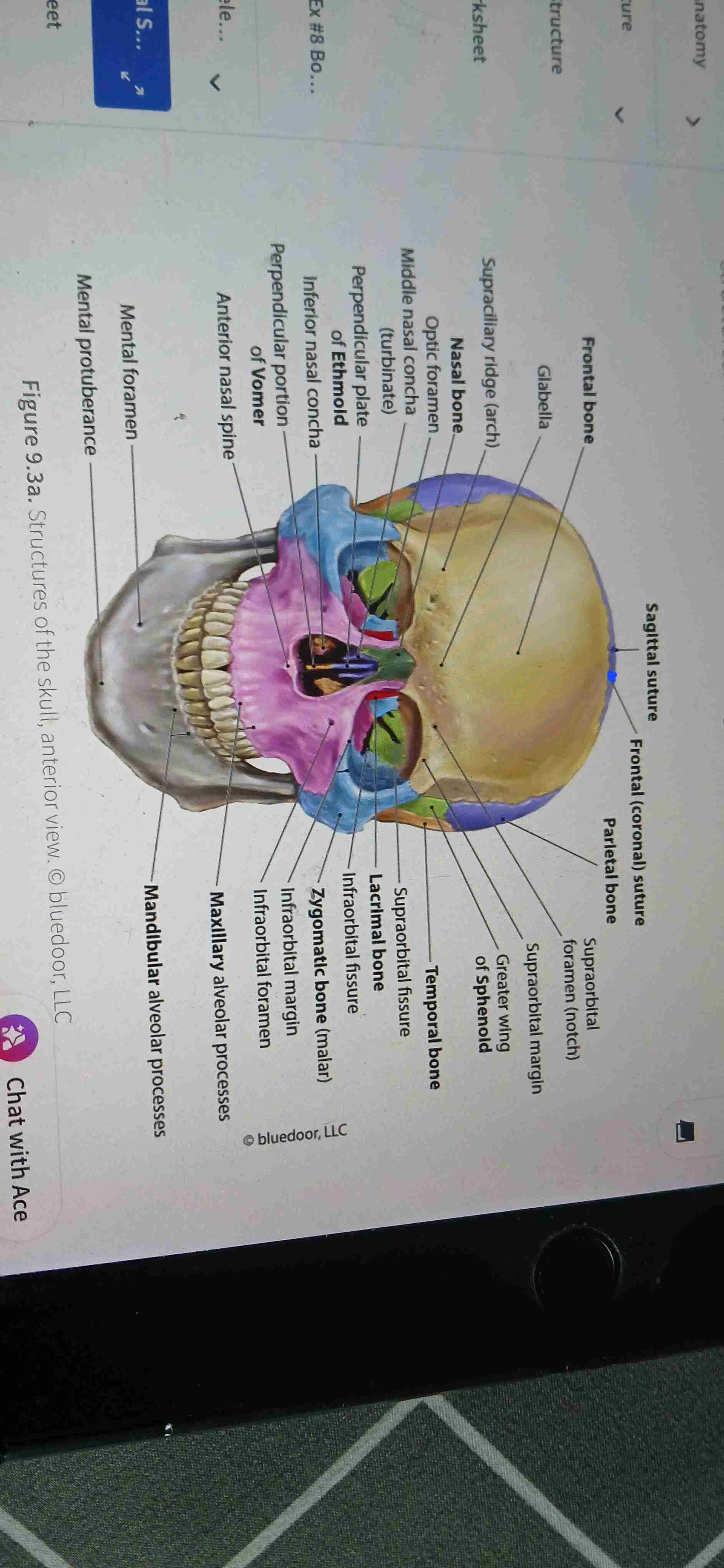 knowt flashcard image