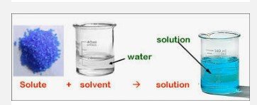 <p>Components of a Solution</p>