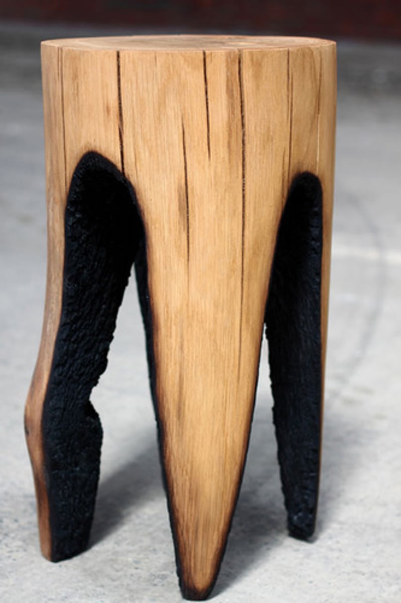 <p>reste encoure brûlant d'un morceau de bois consumé</p>