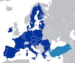 <p>customs union</p>