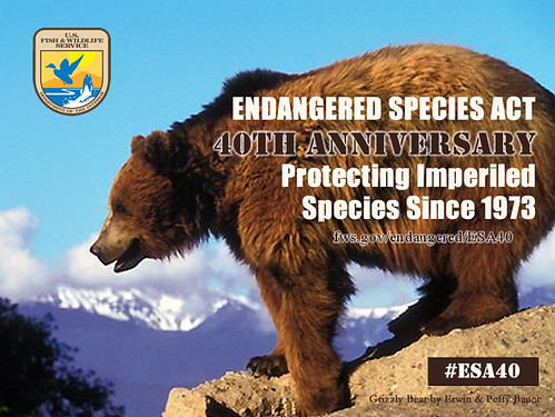 authorizes U.S. Fish and Wildlife Service to protect endangered and threatened species