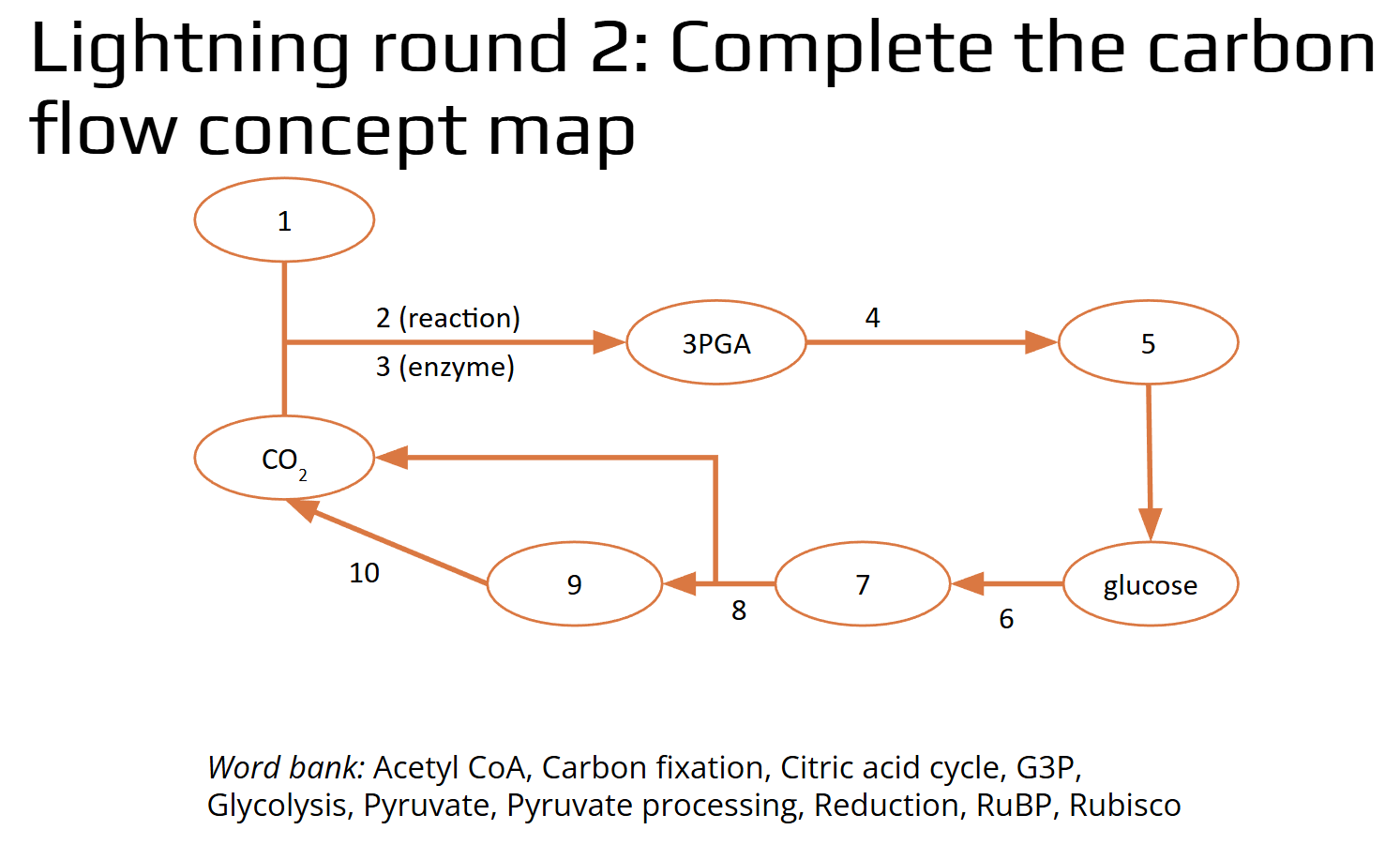 <p>Complete the carbon flow concept map.</p><p style="text-align: left;"><em>Word bank:</em> Acetyl CoA, Carbon fixation, Citric acid cycle, G3P, Glycolysis, Pyruvate, Pyruvate processing, Reduction, RuBP, Rubisco</p><p style="text-align: left;"> </p><p style="text-align: left;">Questions</p><p style="text-align: left;">1</p><p style="text-align: left;">2</p><p style="text-align: left;">3</p><p style="text-align: left;">4</p><p style="text-align: left;">5</p><p style="text-align: left;">6</p><p style="text-align: left;">7</p><p style="text-align: left;">8</p><p style="text-align: left;">9</p><p style="text-align: left;">10</p>