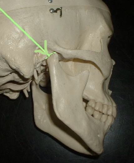 <p>what is this?</p>