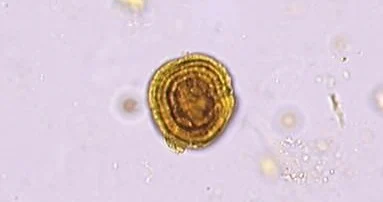 <p>this one might be my favorite</p>