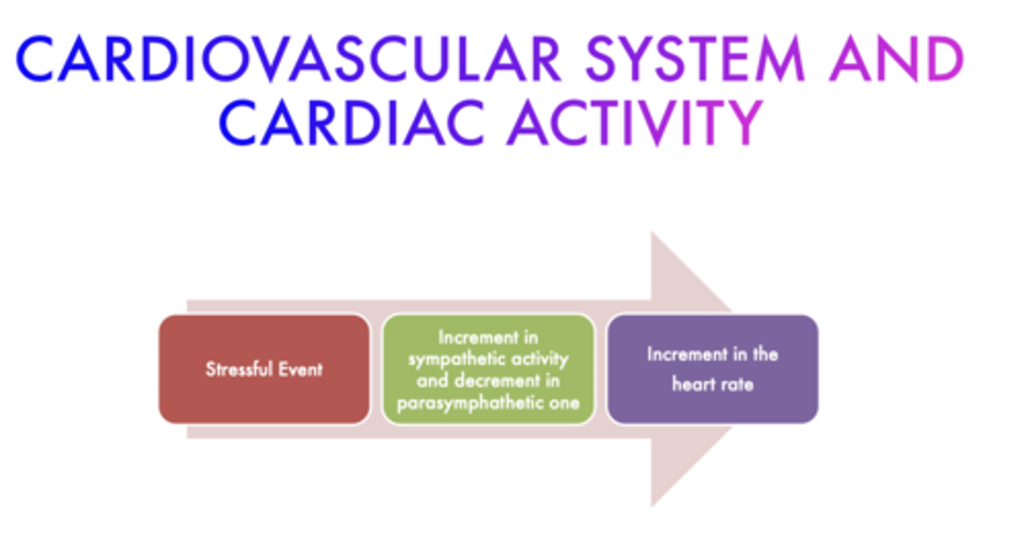 <p>- STRESS</p><p>- AROUSAL</p><p>- VIGILANCE AND ATTENTION</p><p>- MENTAL WORKLOAD</p><p>- ENGAGEMENT</p>