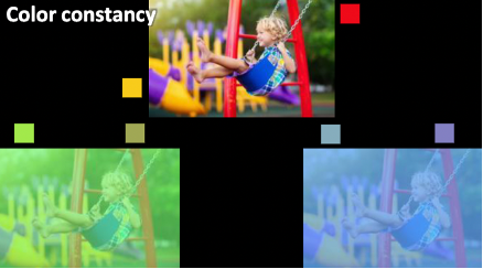 <p>The ability of the visual system to still recognize and detect the color itself, despite changes in environment or to it like the color of the light above</p><ul><li><p>in <span style="color: green">example</span> picture, can still tell that the color is red when there is a blue or green shade overtop of it but the red is actually a very dramatic change from the original red</p><ul><li><p>We are <span style="color: red">compensating</span> for the color of the lighting that we see in the picture</p><ul><li><p>Mind is trying to compensate by subtracting out the blue light that is covering it which leads you to the original color; being red or yellow</p></li><li><p>Your mind perceives it as yellow even though it is actually a greyish</p></li></ul></li></ul></li></ul><p></p>