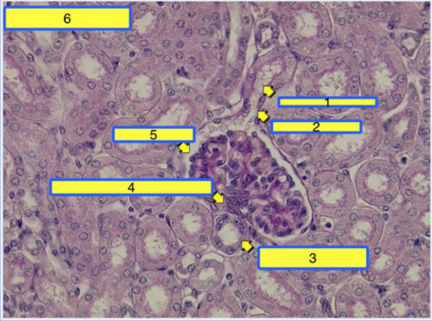 <p>4</p>