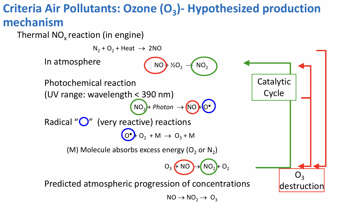 <ul><li><p><strong>no direct source</strong> - series of reactions</p></li><li><p>health: airway constriction, reduced lung function, irritation</p></li><li><p>vegetation: byproducts inhibit photosynthesis, <strong>loss of crop yield</strong></p></li><li><p>production mechanism (write in ipad)</p></li></ul><p></p>
