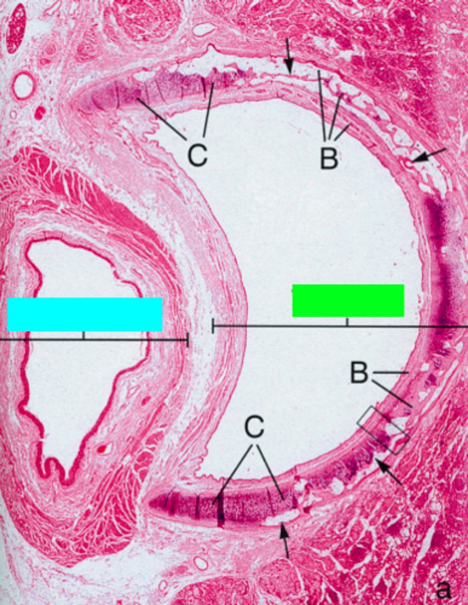 <p>ID the blue box:</p>
