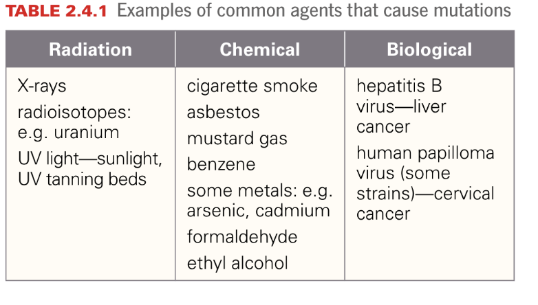 <p>agents that cause mutations</p><p>carcinogen: agent that causes a mutation to lead to cancer</p><p>cause breaks in DNA to replace normal base<br>form abnormal bonds between bases<br>activate genes that cause cell to grow out of control</p>