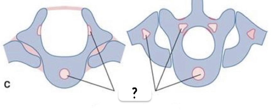 <p>semana y rótulos</p>