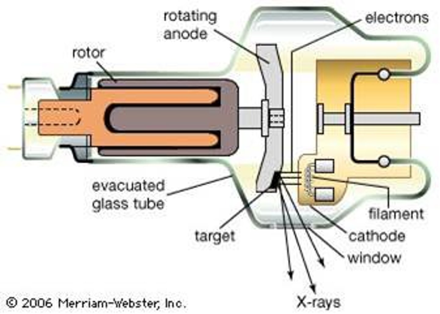 <p>X-rays produced when an electron beam hits a metal target</p><p>-Beam &amp; target are enclosed in an X-ray tube</p><p>-X-ray tube has a special window to allow X-rays to escape through small opening that regulates the size of the beam</p><p>-Beam is directed at X-ray film placed behind patient</p>