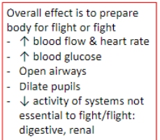**Alpha (α) receptors (⍺1):** **Excitatory, constrictio**n - Constriction (↑) of blood vessels, constricts radial muscles of eye (leads to dilation of pupils)

\
**Alpha (α) receptors (⍺2): Inhibitory -** ↓Sympathetic nerve activity and digestive function

\
**Beta (β) receptors (β1): Excitatory (heart)** - (↑) Heart rate and force of contraction

\
**Beta (β) receptors (β2): Relaxation** - Dilate bronchioles, bladder, smooth muscle on digestive organs, release energy stores