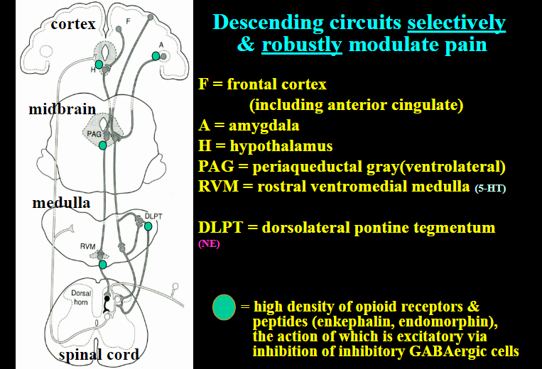 <p>Descending circuits</p>