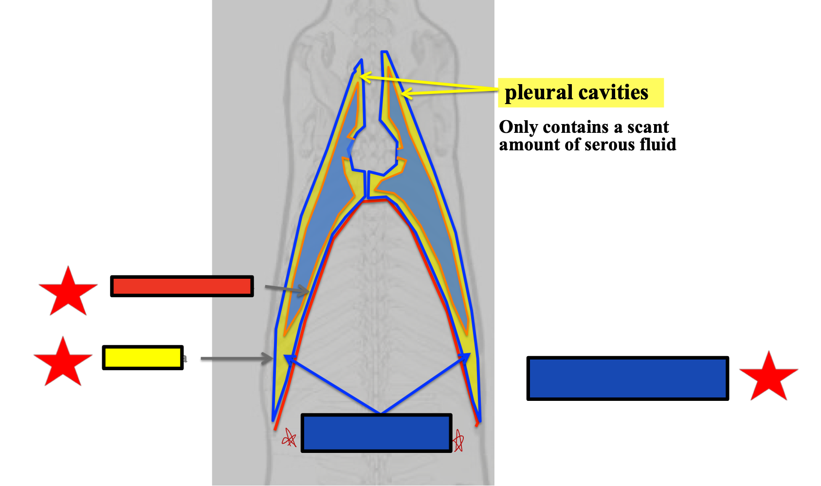 <p>What does the blue box refer to?</p>