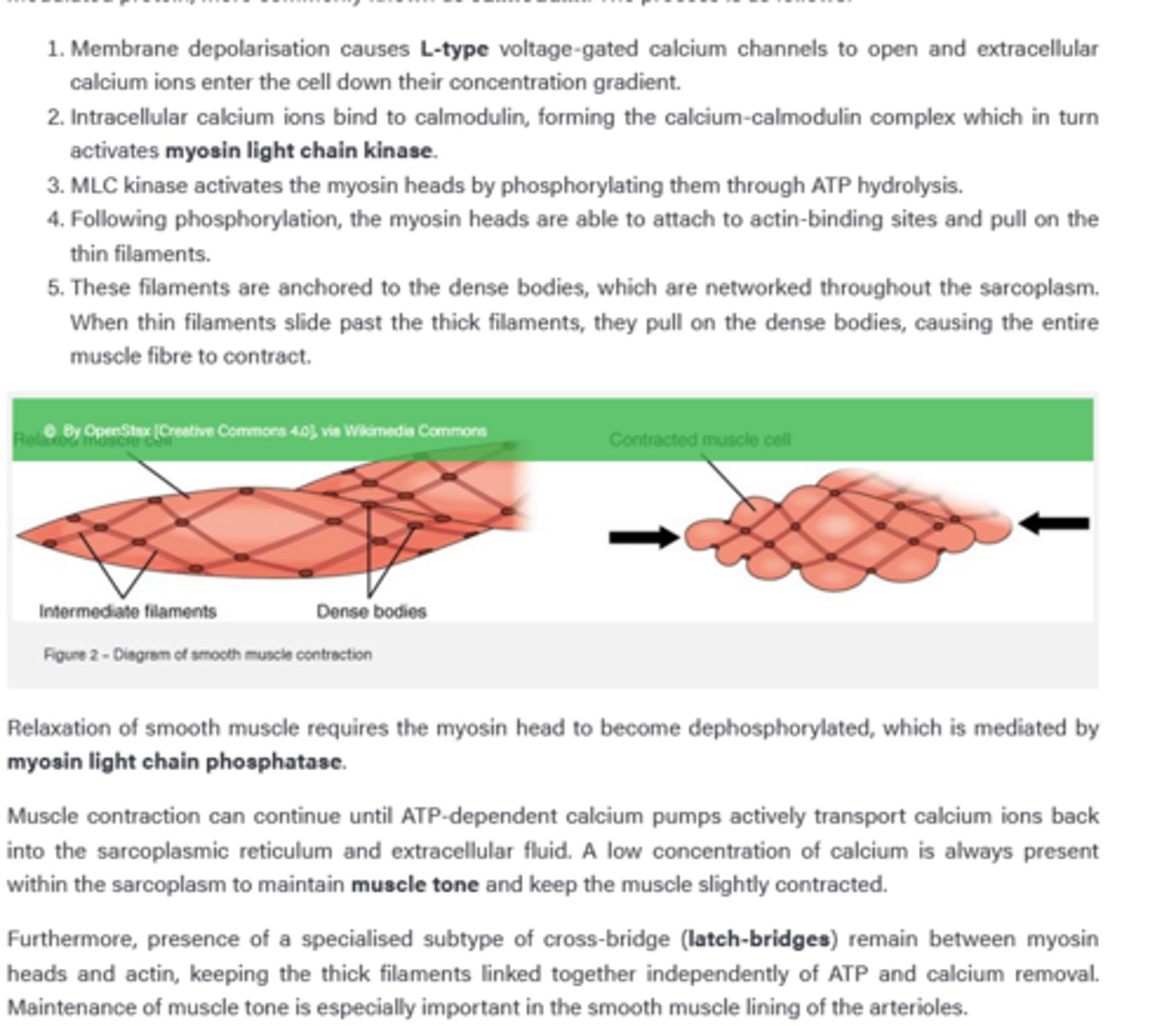 knowt flashcard image