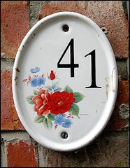 41