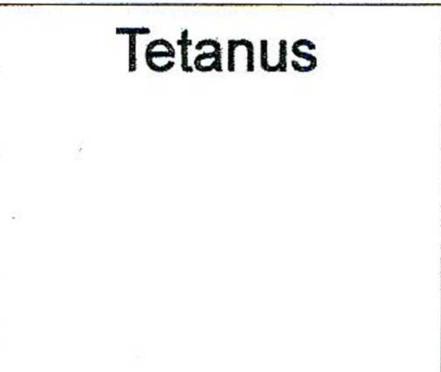 term image