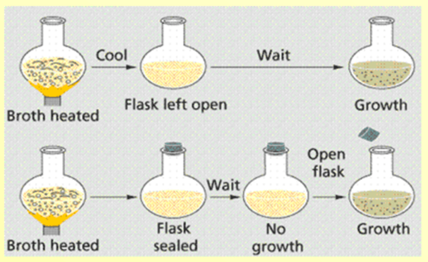 <p>(mid 1700s)<br>- Proved Biogenesis by correcting John Needham's experiment</p>