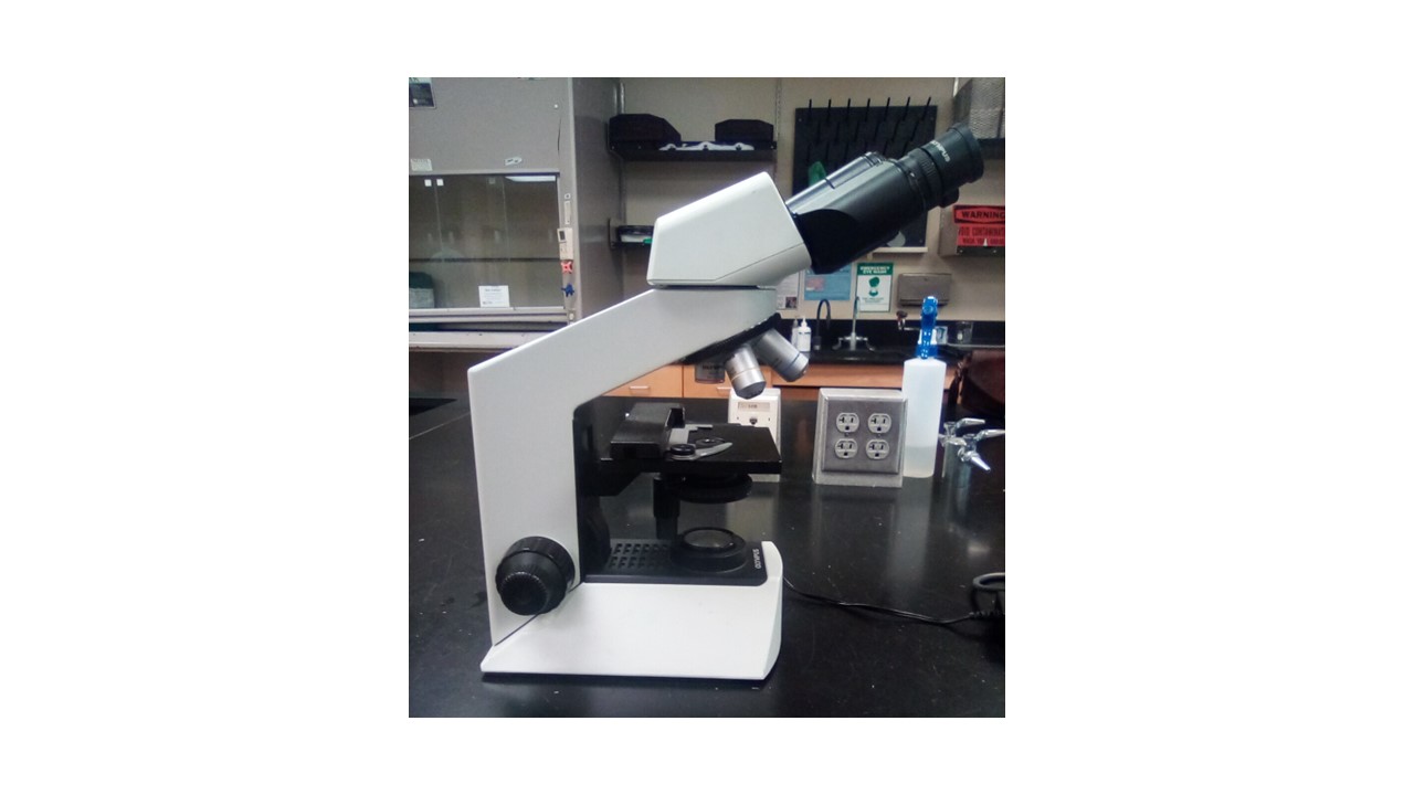 <p>microscope </p>