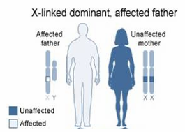 <p>How will you counsel the following parents on the probability of producing abnormalities in their children?</p>