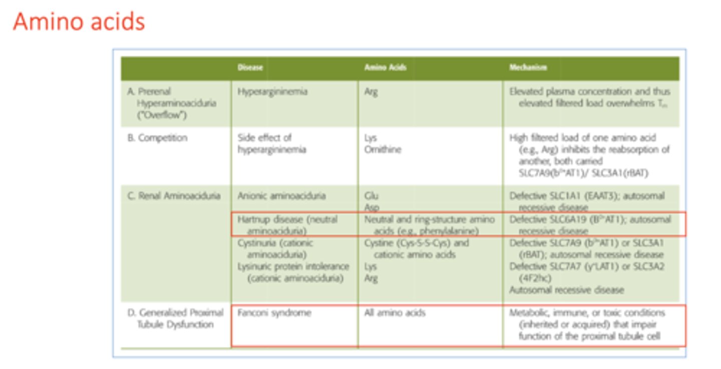 <p>Fanconi syndrome</p>