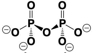 <p>What is the correct acronym?</p>